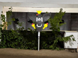 Schwarzpulverkönigsschießen 2026 - Vogel auf 25m
